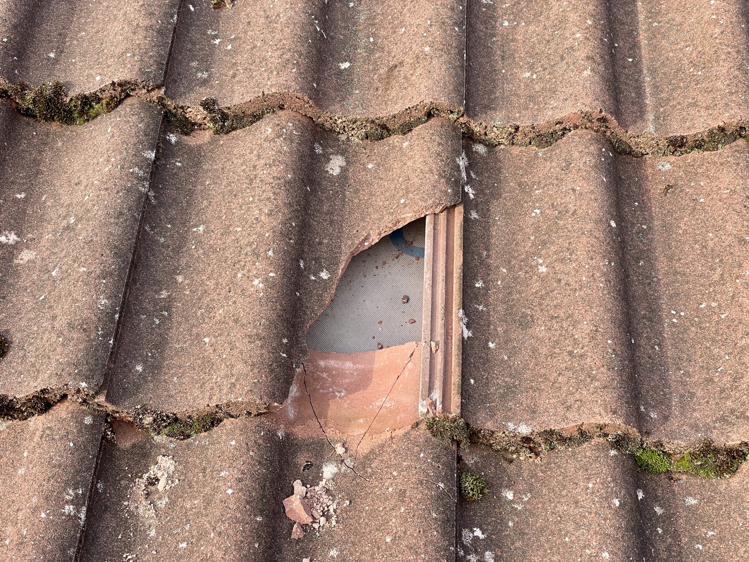 Beschädigte Dachziegel mit sichtbaren Abplatzungen in Nahaufnahme